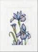 Polcolorit - Sukces - Dekor Azzurro 250x333