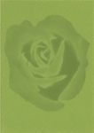 Cersanit - Adrenalina - Adrenalina Verde Inserto Róża